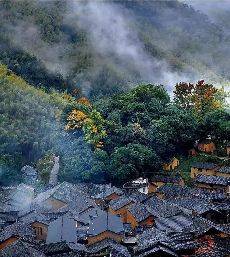 雷竞技与亚博