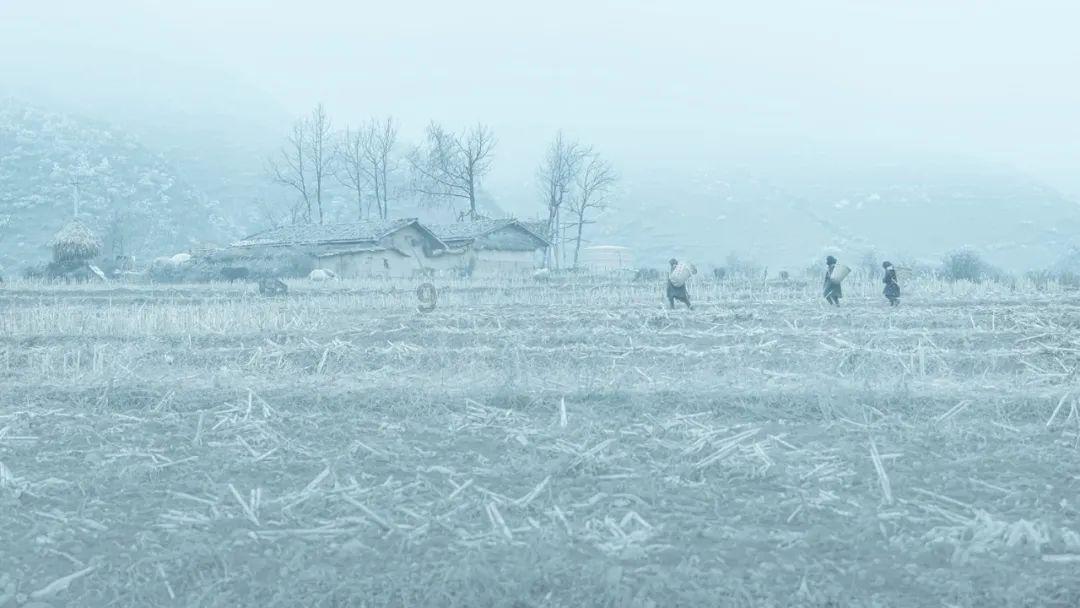 雷竞技与亚博