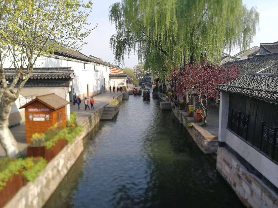 动物帮帮忙保卫家园